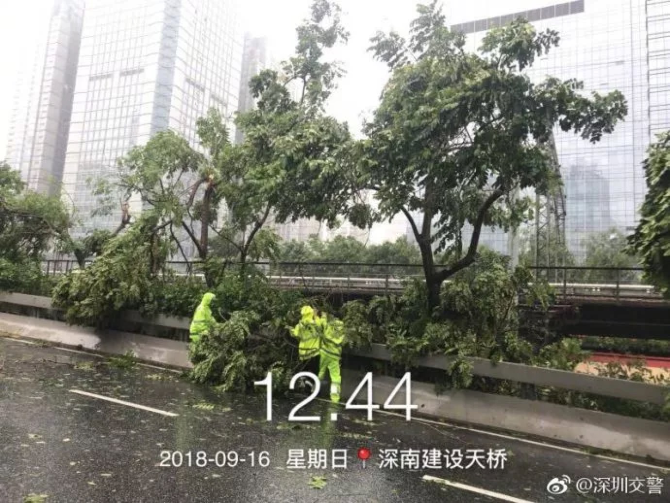 臺風肆虐下的深圳人